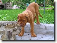 hop hop ze schod�