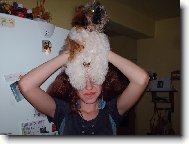 �icu, Shih-Tzu