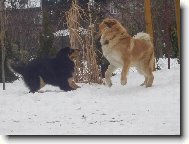 AHOJ NEVLASTN� BR�CHO!