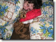 Jork��rsk� terier, Yorkshire Terrier,
