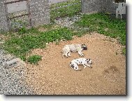 Odpo�inek