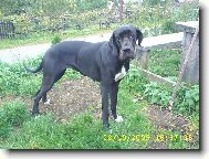 Caramelka m�j mazlik