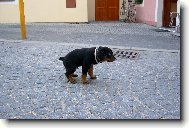 A je�t� vy�urat a m��um j�t domu!!! :-)