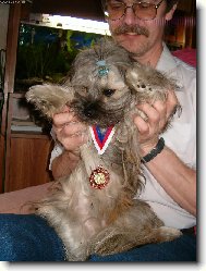 �icu, Shih-Tzu
