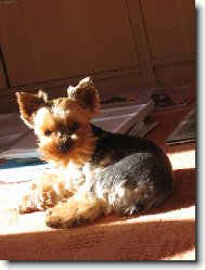 Vylet� pt��ek
