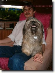 �icu, Shih-Tzu