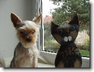 Jork��rsk� terier, Yorkshire Terrier,