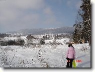 Bad�sek