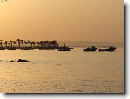 Egyptsk� arabsk� republika