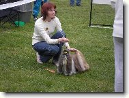 �icu, Shih-Tzu