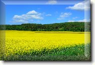 Wallpapers (pc): 3521