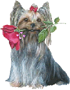 More smileys for free download