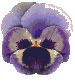 More smileys for free download