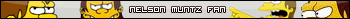 Userbars to free download for your forum or blog (16 096 userbars)